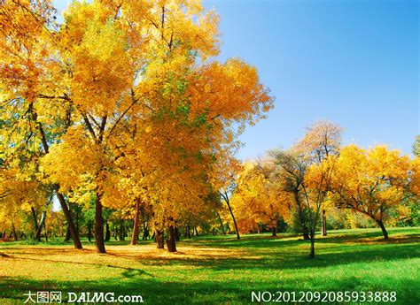 秋天的景色高清图片下载-正版图片500795479-摄图网