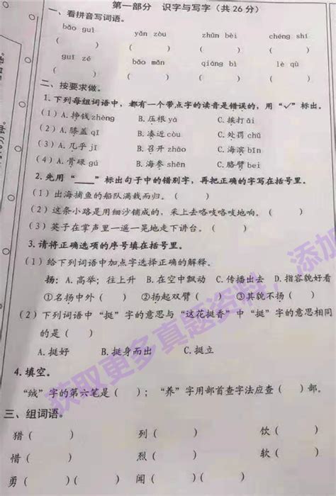 测试行业临床应用：第三方检测与医院投放并行 - 中为观察 - 中为咨询|中国最为专业的行业市场调查研究咨询机构公司