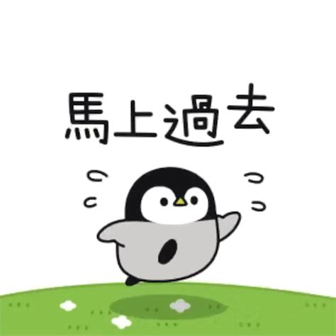小企鹅表情包图片
