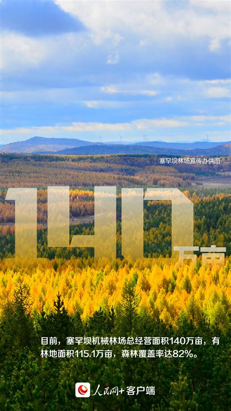 这背景特真！数读塞罕坝机械林场“绿色奇迹”-千龙网·中国首都网