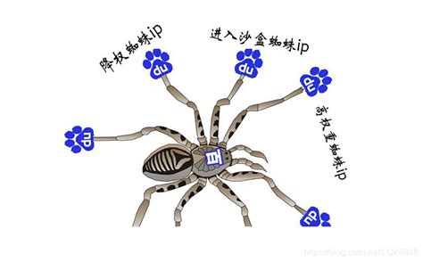百度蜘蛛IP段大全