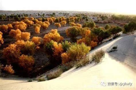 新疆图木舒克市历史沿革_巴楚县