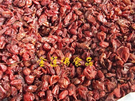 金樱子价格介绍和金樱子的养殖方法|金樱子图片-中国木业网