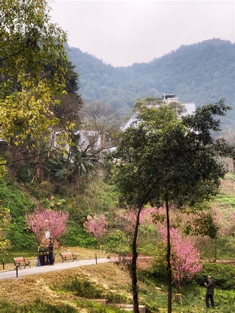 重庆歌乐山有个天池，是个休闲的好地方，上天池度假村,