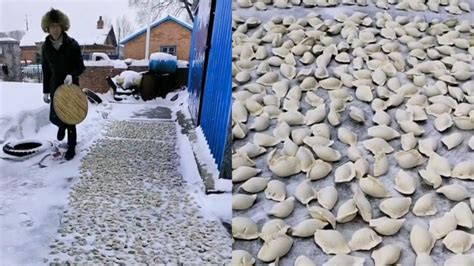 东北女子雪天在屋外冻饺子，上千饺子铺满地瞬间被雪埋，场面震撼_腾讯视频