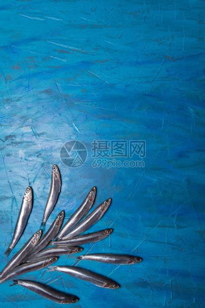 一组凤尾鱼在蓝色背景上漂浮高清图片下载-正版图片505834604-摄图网