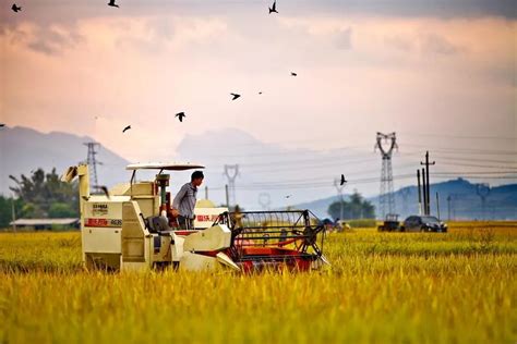 【新时代 新作为 新篇章】江苏常州：“智慧农业”来了 这片稻田“无人收割”_新华报业网