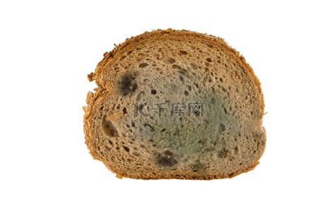 一片发霉的面包高清摄影大图-千库网