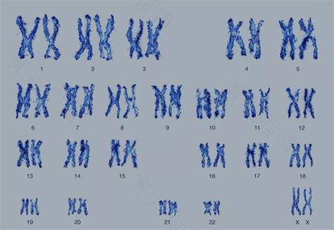 染色体组_染色体组构成_微信公众号文章