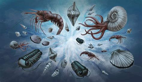 BBC 经典纪录片《与巨兽同行》第一阶段：寒武纪生命大爆发！你知道人类是如何进化而来的吗？