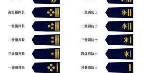 团长什么级别的军衔（王牌部队：排长、连长、团长分别管多少人，都是什么军衔？） | 说明书网