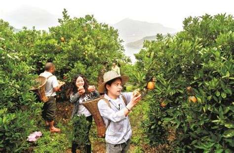 湖北特色农业加工产品精彩亮相第二十二届中国农产品加工投洽会--湖北省农业农村厅