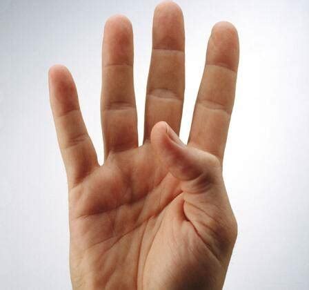 无名指是哪个手指 手指分类分别名称是什么_华夏智能网
