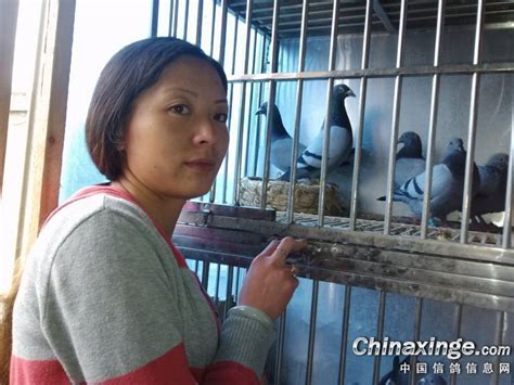 今天带女鸽友回家看鸽子-中国信鸽信息网相册