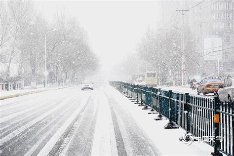 大雪纷飞！哈尔滨天地浑然一体 市民冒雪出行-图片频道