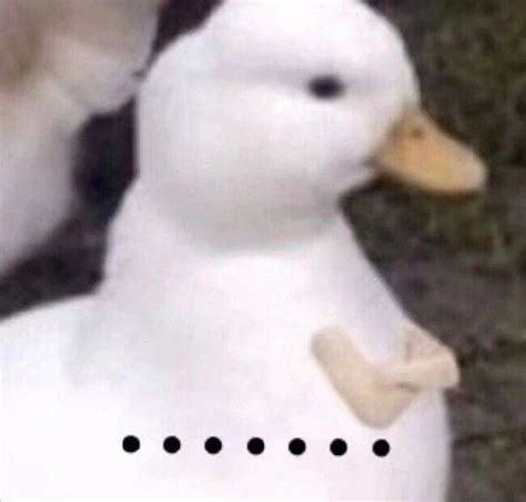 《突然出现》系列表情包图片
