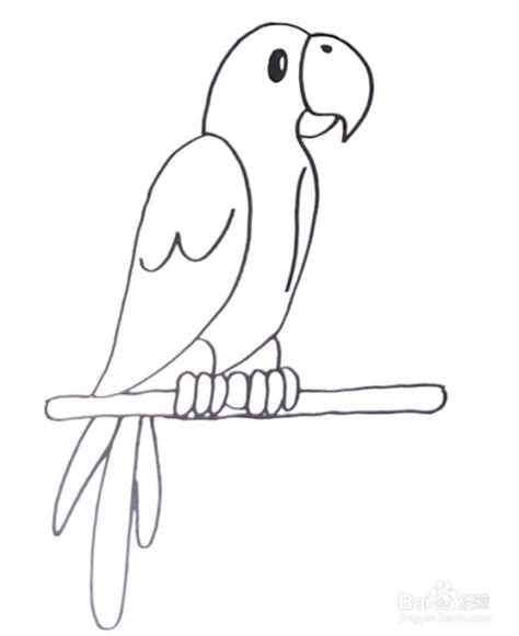 7-8岁简笔画优秀作品 简单小鹦鹉怎么画💛巧艺网