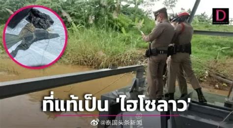湄公河上的“行李箱毁容女尸”，身份确认？可能是邻国富家名媛_凤凰网