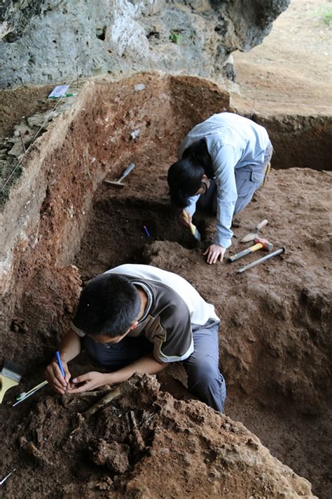 考古发掘。考古学家在一个挖掘的过程中，研究墓室里的人骨，部分骨骼和头骨埋在地下。手刷。