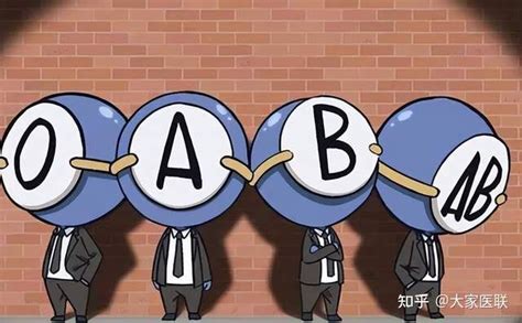 AB A B O哪个血型最好-如果是ab型血太幸运了 - 医疗机构 - 华网