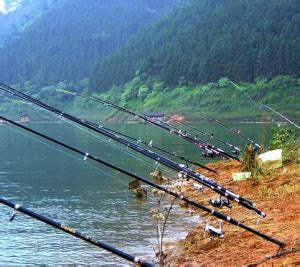 图文详解路亚鱼扣的正确使用方法-1_中国钓鱼人网