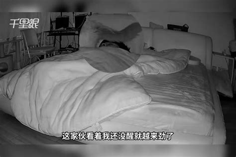 【上海】猫咪绝育后半夜对主人放屁踢脸报复，主人：被踢醒闻到臭味人都懵了_主人_报复_猫咪
