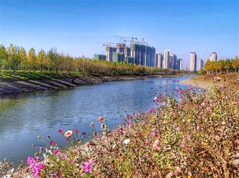 周口中心港：沙颍河黄金水道上的一颗璀璨明珠-中国项目城网