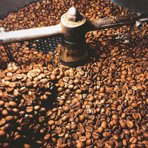 咖啡豆在树上成熟高清摄影大图-千库网