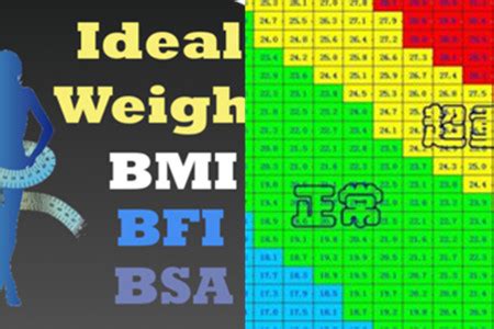 体重指数bmi什么意思（体重指数bmi等于）_草根科学网