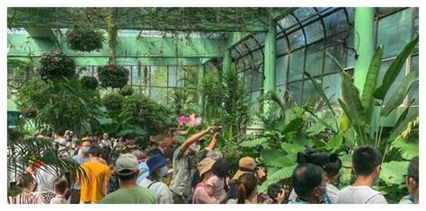 “史前巨兽”在上海动物园首次亮相！