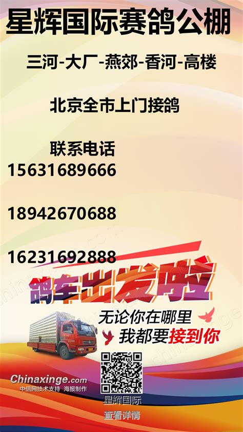 黑龙江伟路国际赛鸽公棚（春棚）照片查看-中国信鸽信息网各地公棚