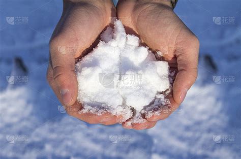 冰冷的雪握在手里。手握冷雪