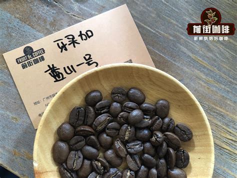 咖啡品种特点 阿拉比卡家族咖啡豆品种风味口感 中国咖啡网 02月27日更新