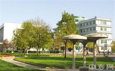 滨州医学院专业排名、哪个专业好、满意度Top10|中专网
