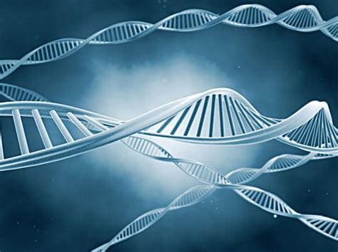 迄今最完整的人类基因组图谱！Science特刊6篇长文系统梳理T2T参考基因组研究成果__凤凰网