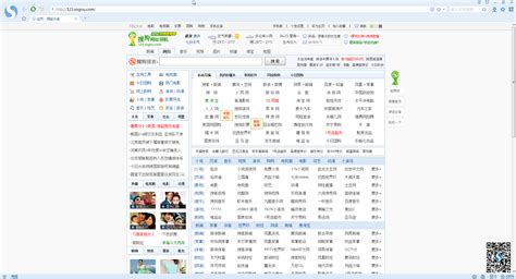 搜狗高速浏览器5.0.9.13085 优化精简版 - 淘小兔