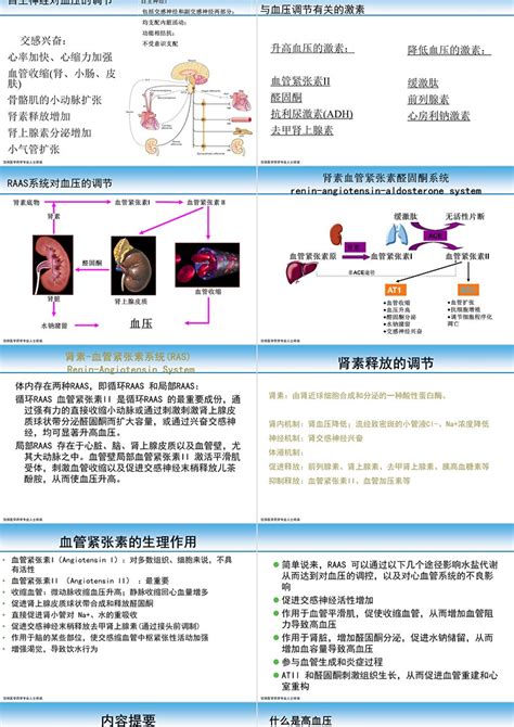黄斑水肿发病机理和结构变化-京东健康