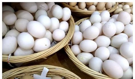 今日鸡蛋价格市场新行情，年底又可以吃到便宜的鸡蛋了- 农产品_赢家财富网