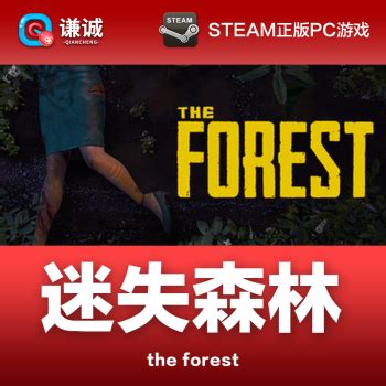 steam游戏代购 PC正版中文游戏 the forest 迷失森林 恐怖森林 普通版 - - - 京东JD.COM