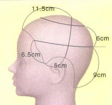 图1-3 头面部分区-基础医学-医学