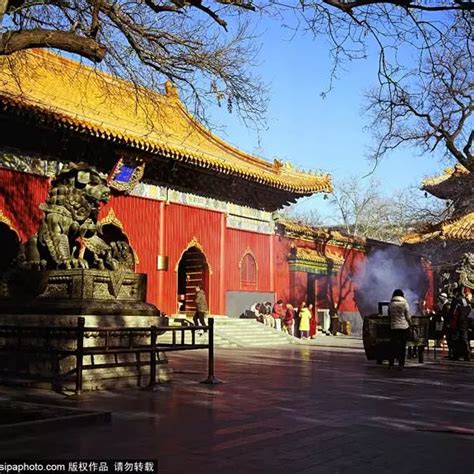 再见锦鲤，请收好这份北京8大寺庙礼佛指南！_北京旅游网