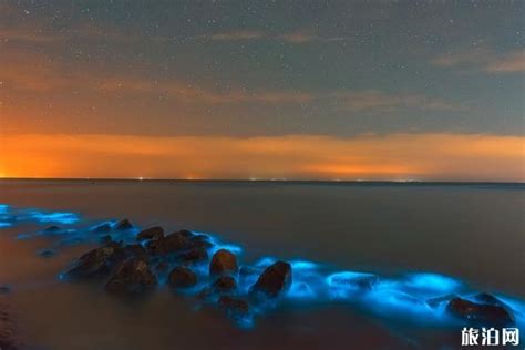 世界上最美的十种自然现象 荧光海滩太美