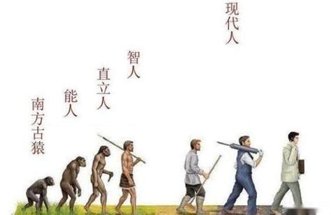 全人类的祖先是谁？来自哪里？答案很让人难以接受|原始人|古猿|祖先_新浪新闻