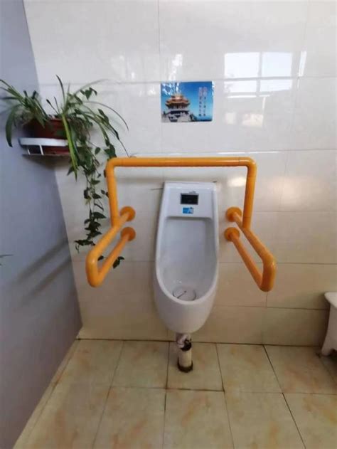 海湾旅游区这个公厕“大变身”，让“方便”更方便_上海奉贤_新民网