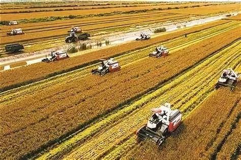 农业农村部：建设一批全程机械化+综合农事服务中心！_农机通讯社