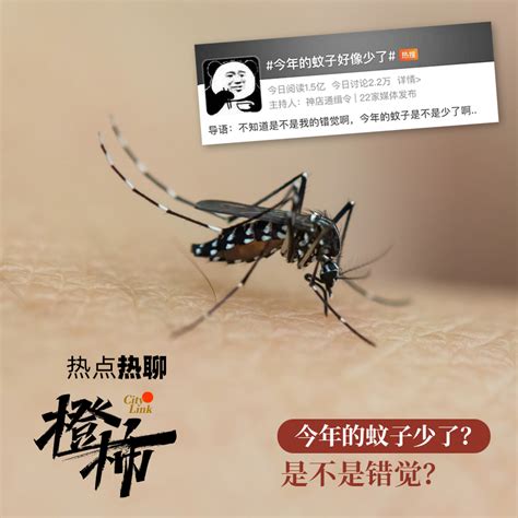 40℃高温天，蚊子吸血的欲望也降低了？杭州市疾控中心监测发现：蚊子确实少了！