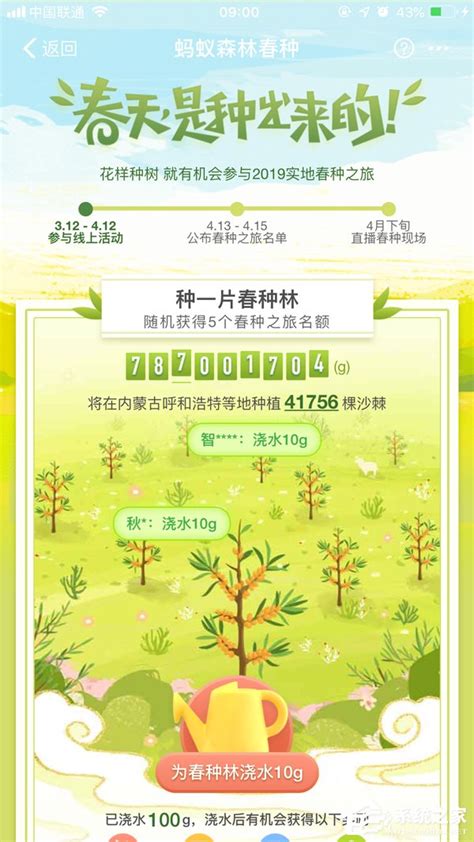蚂蚁森林：从虚拟世界出发，获得真实的成就感 | 中国创新_凤凰网公益_凤凰网