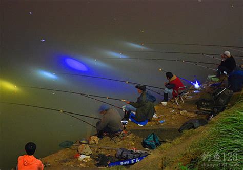 夜钓 钓的是鱼，也是景|钓鱼|鱼竿|李磊_新浪新闻