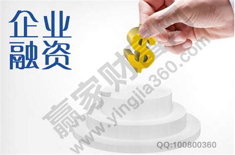 中国企业融资的28种方式_word文档在线阅读与下载_无忧文档