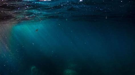 神秘的深海恐惧症：甚至看到照片中的海洋也会极度焦虑_手机新浪网